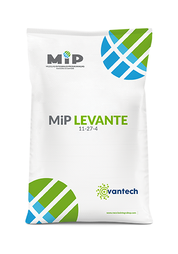 MiP LEVANTE