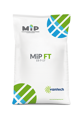 MiP FT