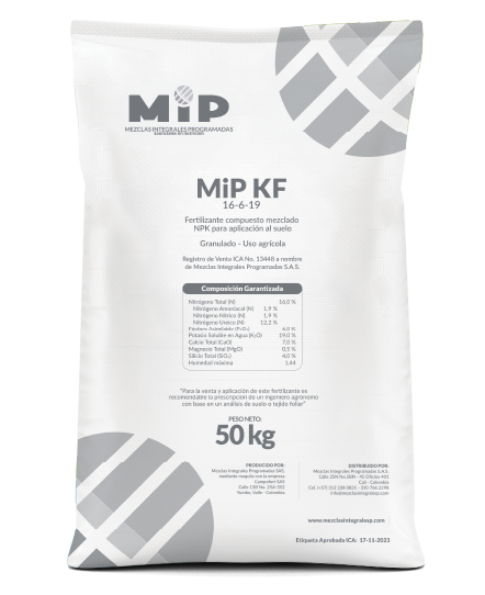 MIP KF - Image 2