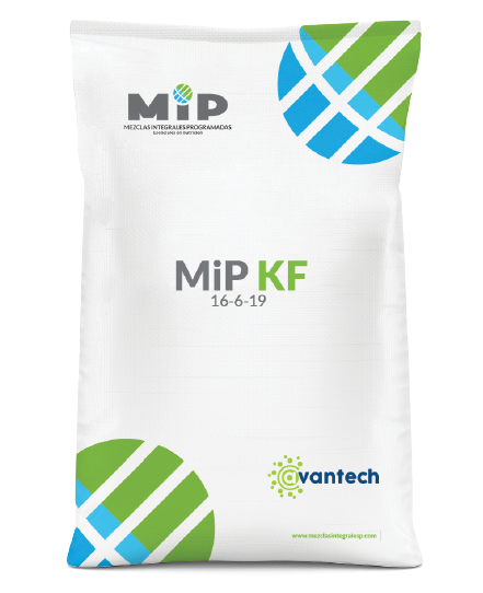MIP KF