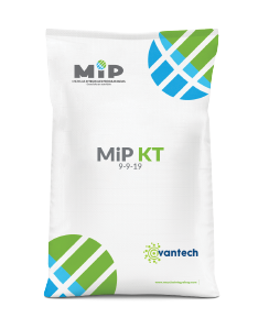 MIP KT
