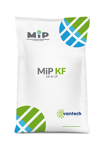 MiP KF