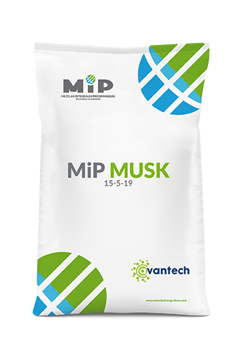 MiP MUSK
