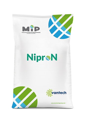 NiproN